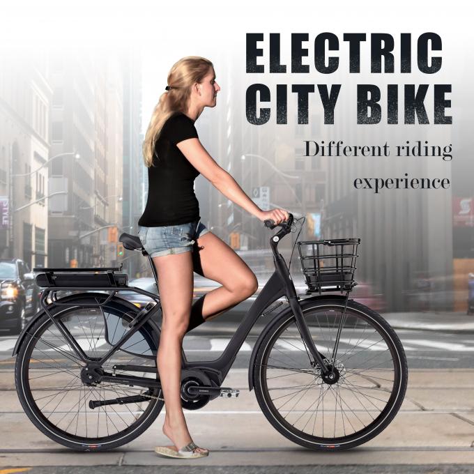 Velo Electrique Electric Dirt Bike 80Nm 36v بطارية ليثيوم 0