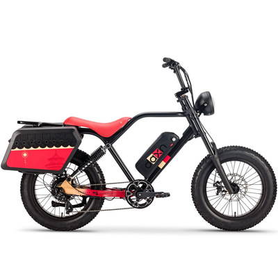 250W 750w Elektrische Fiets دراجة بطارية 48v 20AH الدهون الإطارات للبالغين